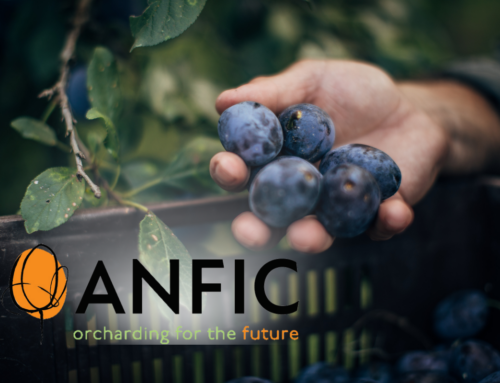 ANFIC: Assisting Australian fruit growers compete in a changing world